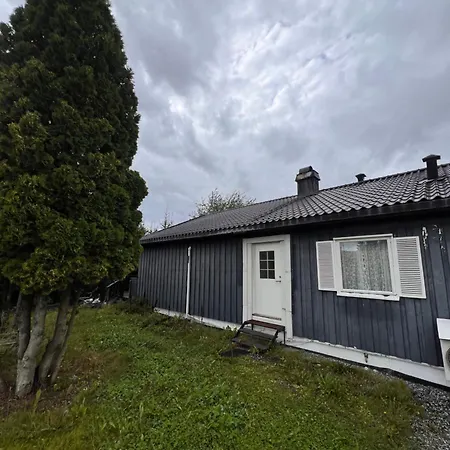 House Arnes (Nes)
